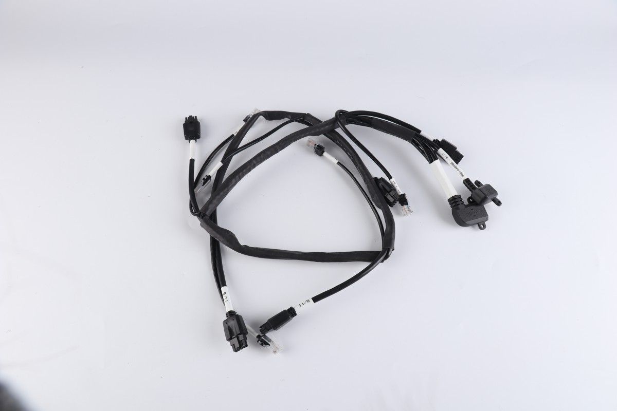 DP Harness