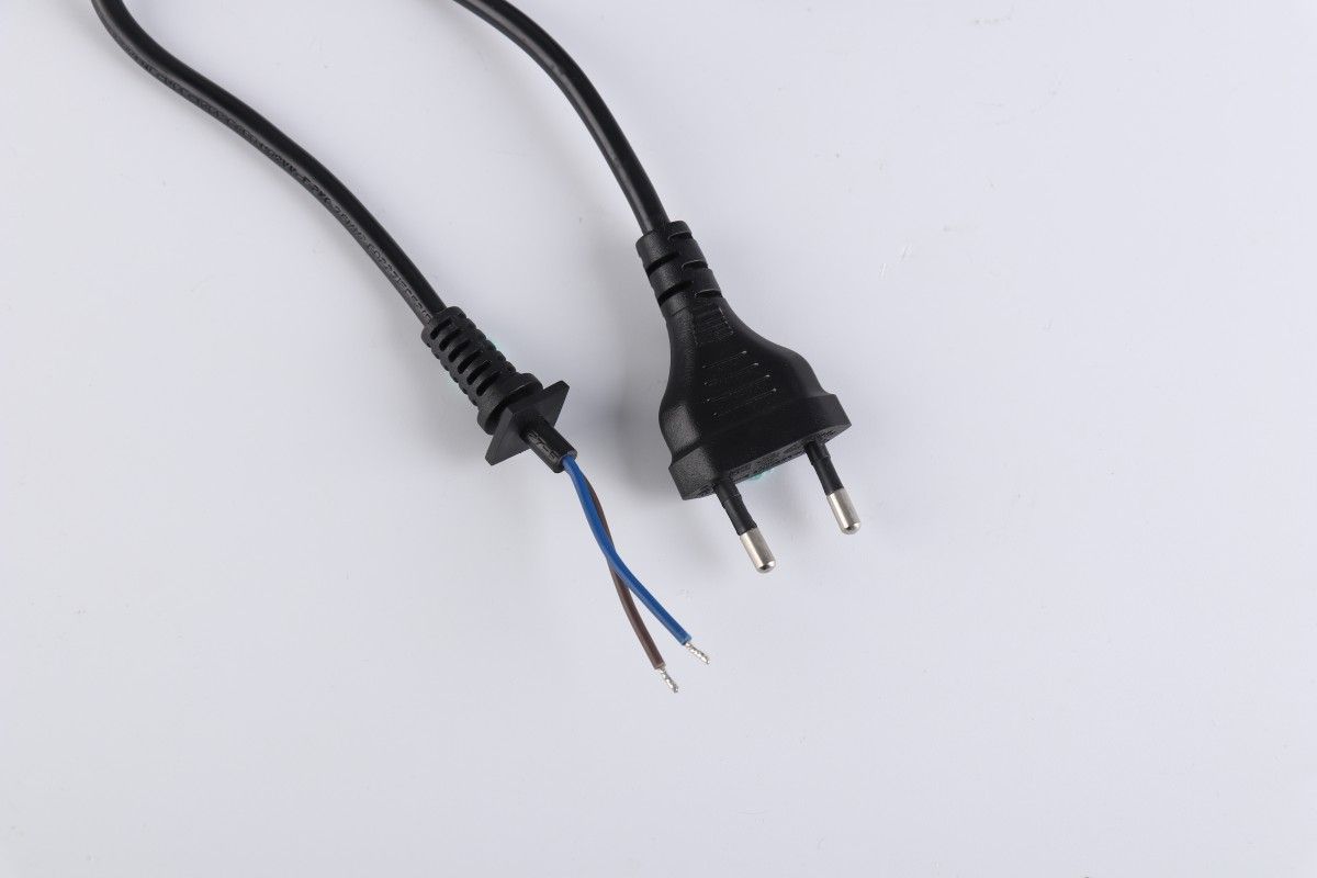 Two Plug-in European Standard Power