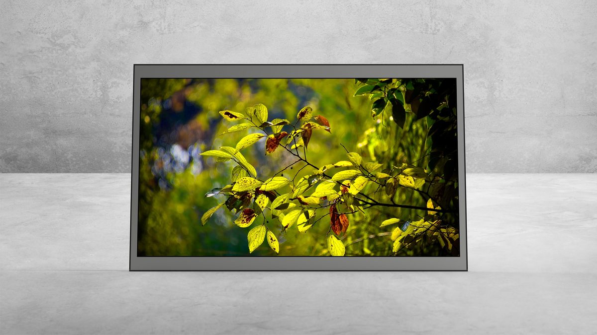 15.6″ Monitor — View 1