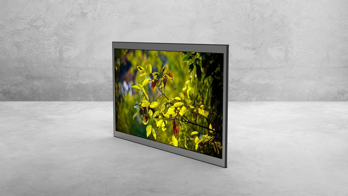 15.6″ Monitor — View 2