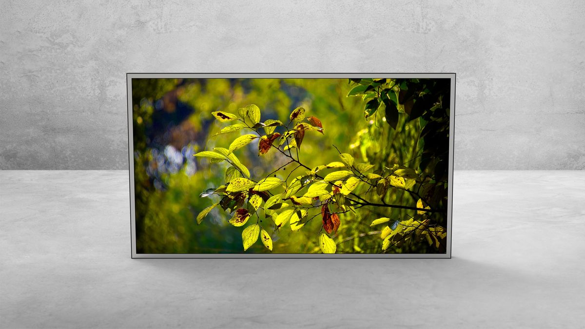 32″ Monitor — View 1