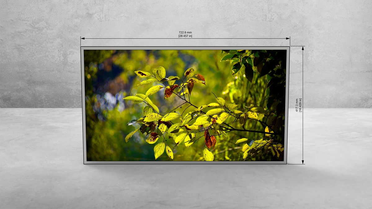 32″ Monitor — View 4