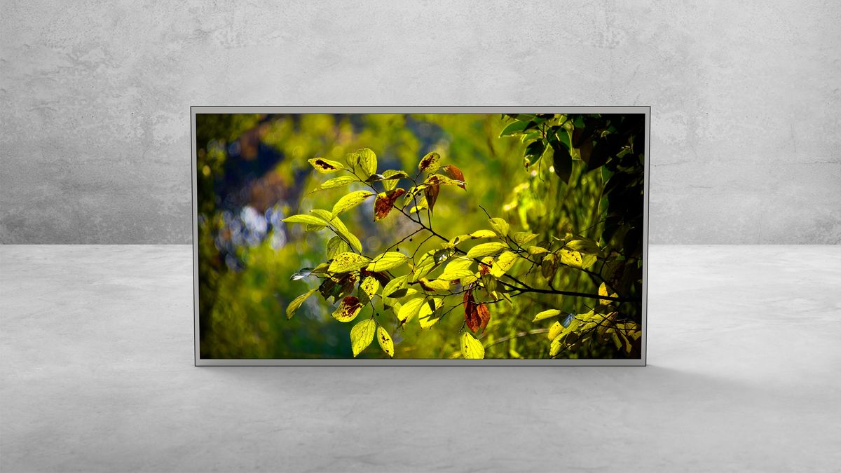 43″ Monitor — View 2