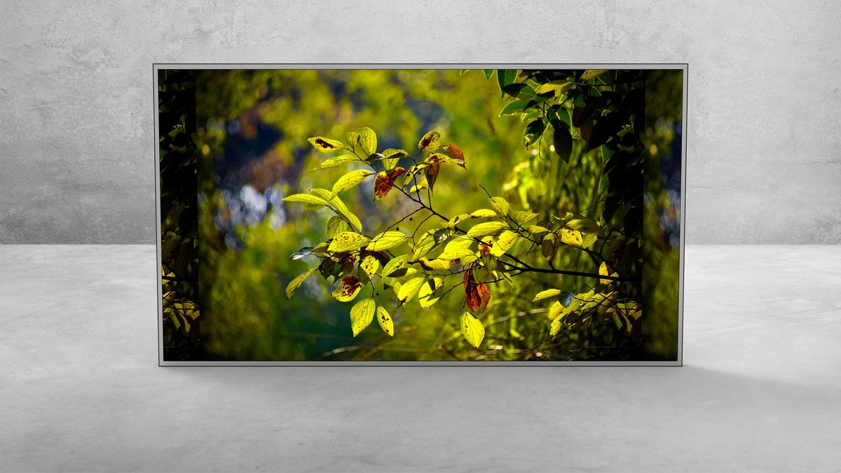 49″ Monitor — View 1