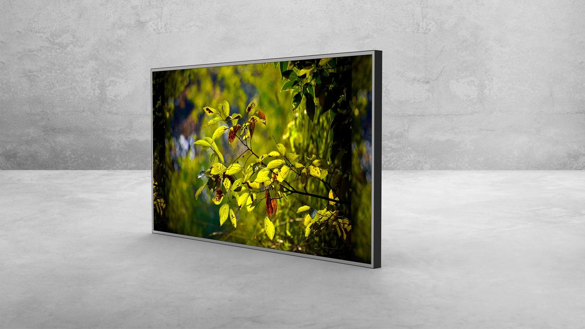 49″ Monitor — View 2