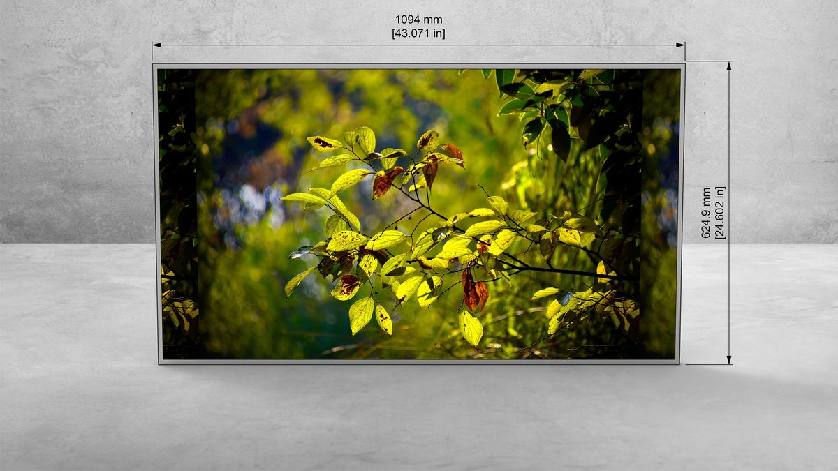 49″ Monitor — View 4