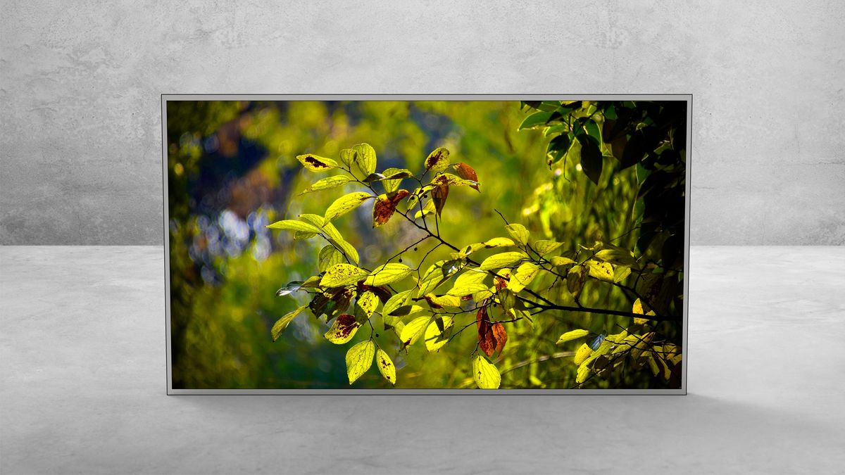 55″ Monitor — View 1
