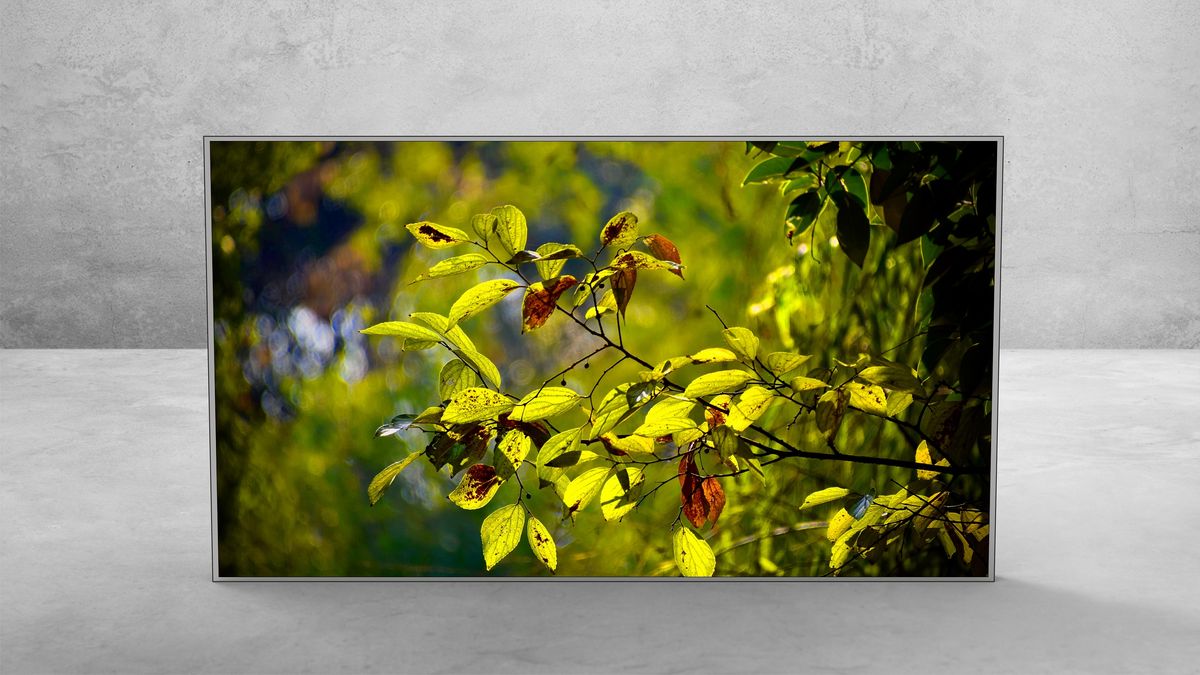 65″ Monitor — View 1