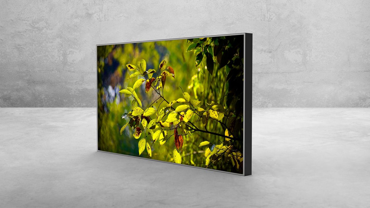 65″ Monitor — View 2