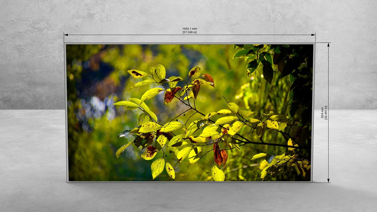 65″ Monitor — View 4