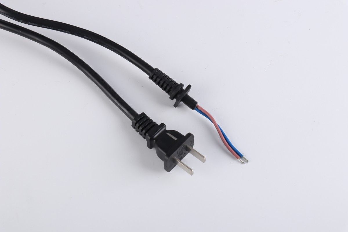 Two Plug Power